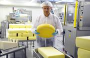 Работа в Швейцарии: Производство Сыра  от 3500 евро